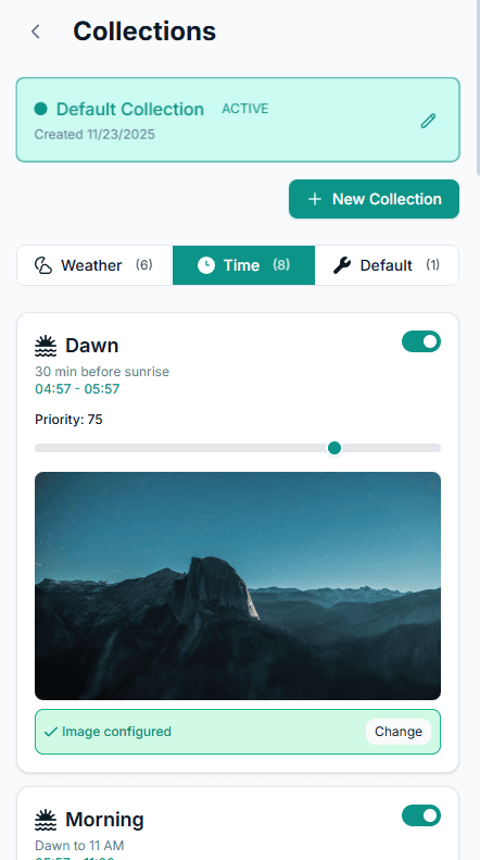 Collection manager interface